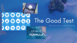 Raport talentów duchowych Genius Formula