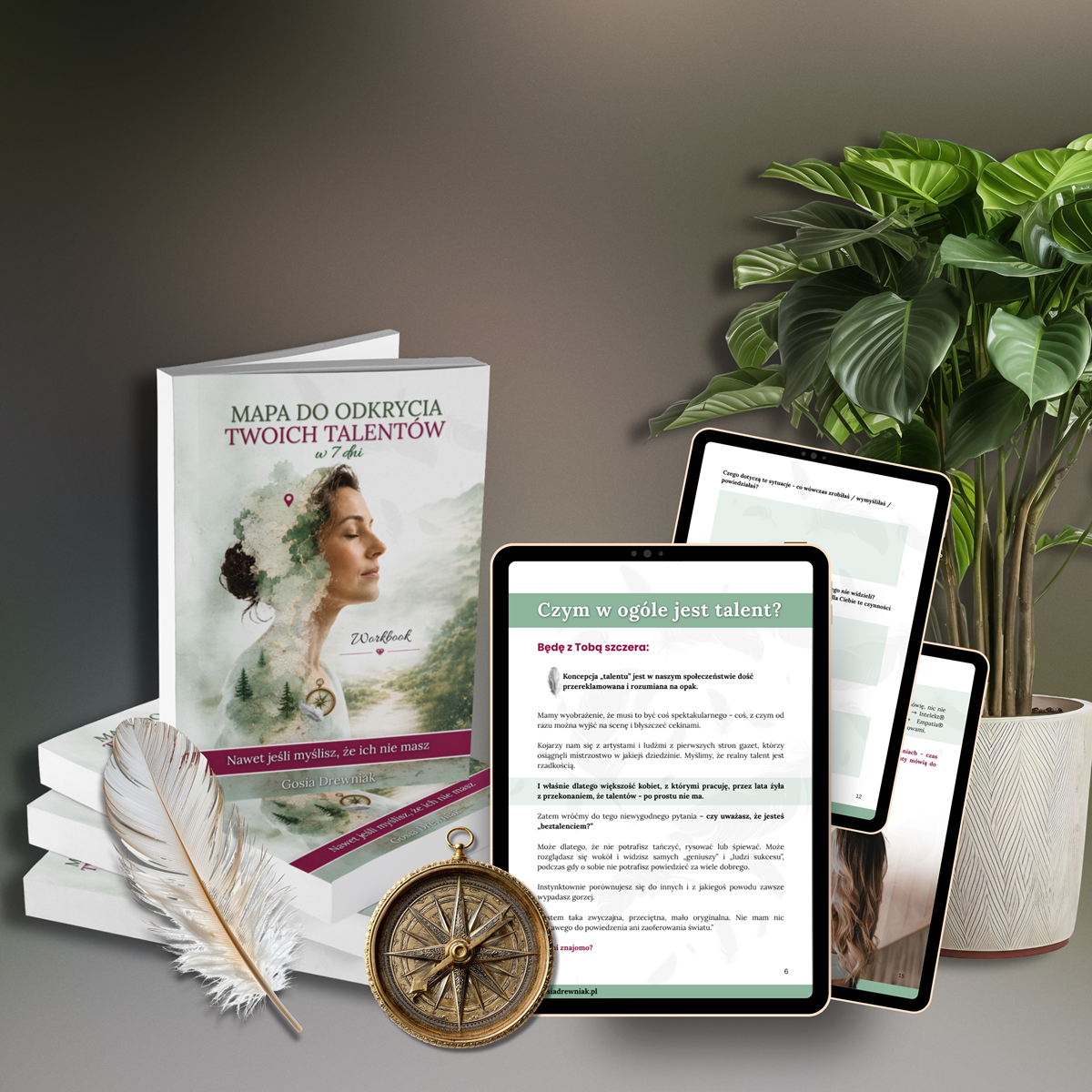 workbook Mapa do odkrycia Twoich talentów w 7 dni